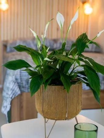 Appartement Mati Labin (Istria)